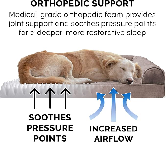 Furhaven Orthopedic Dog Bed for Medium/Small Dogs w/ Removable Bolsters & - Image 5