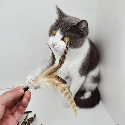Natural unstained Feathers, Cat Feathers Refill - Image 5