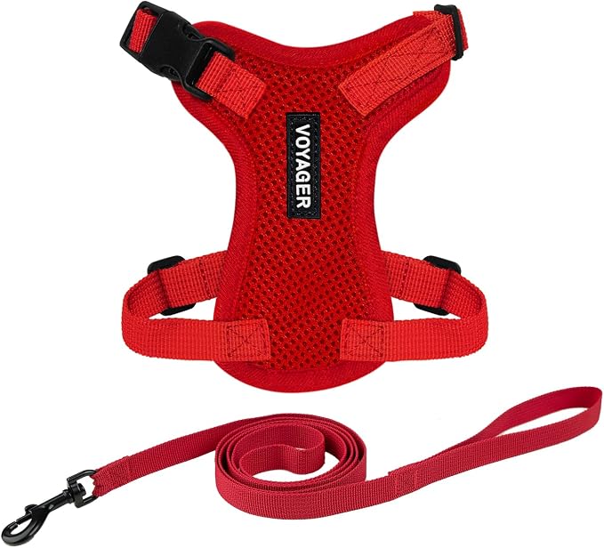 Voyager Escape-Proof Step-in Lock Cat Harness & 5ft Neoprene-Handle Leash Set by BestPetSuppliesLLC