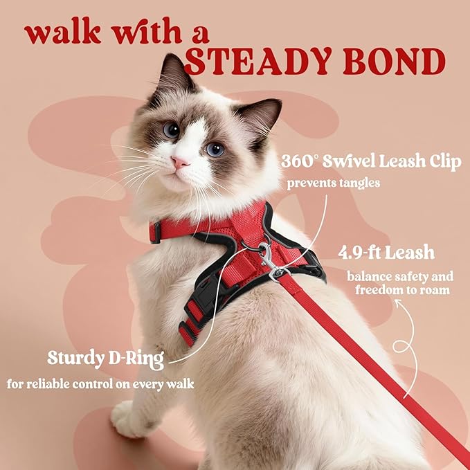 rabbitgoo Cat Harness and Leash - Image 5