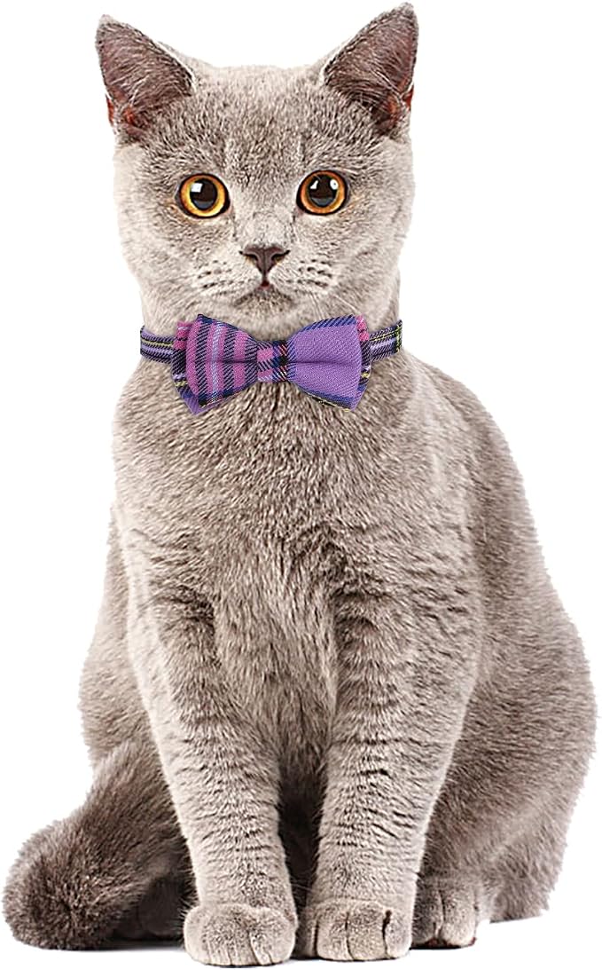 Faleela 2 Pack/Set Cat Collar - Image 4