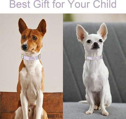 Nylon Dog Collar - Image 3