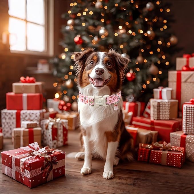 Christmas Dog Collar - Image 7
