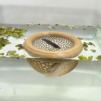 Aquarium Floating Betta Fish Skins, Betta or Shrimp Feeder, Cave and Hammock by HOZOE