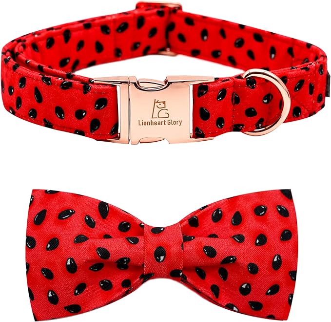 Lionheart glory Dog Collar, Watermelon Dog Collar by LionheartGlory