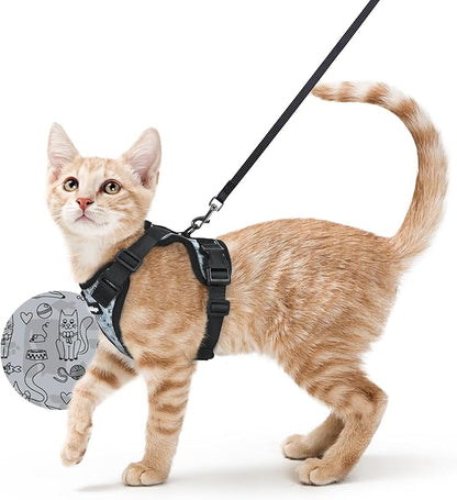 rabbitgoo Cat Harness and Leash by rabbitgoo