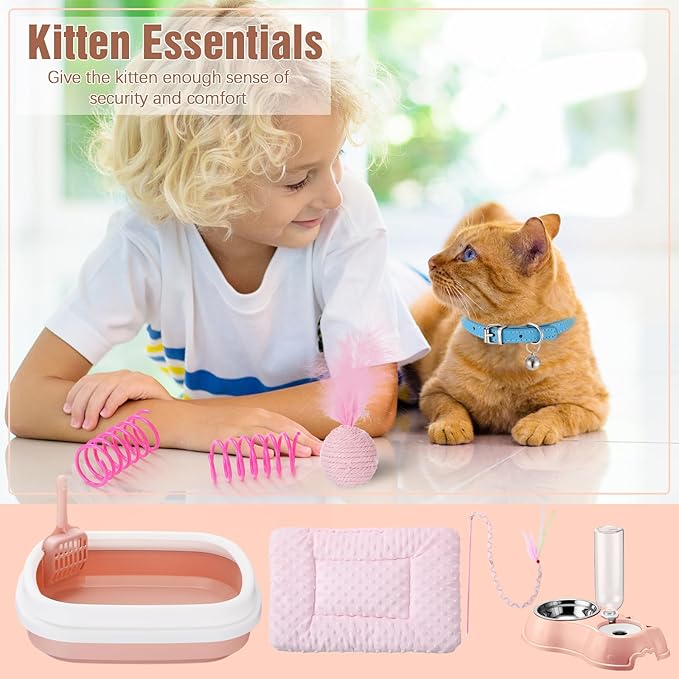 Eccliy Kitten Starter Kit, Pet Toy, Folding Carrier, Climbing Frame, Automatic - Image 4