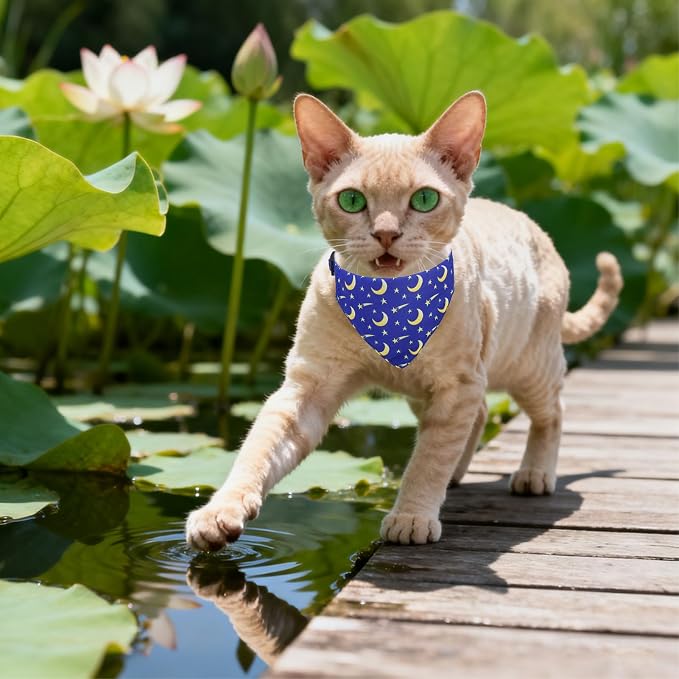 EXPAWLORER Cute Cat Collar Breakaway - Image 6