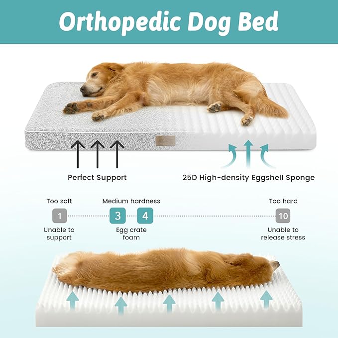 Dog Crate Bed for Small Size Dogs, Rectangular Orthopedic Cat Beds, Foam - Image 2