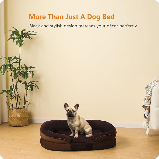 Dwanton Orthopedic Dog Bed for Medium Dogs - Image 9