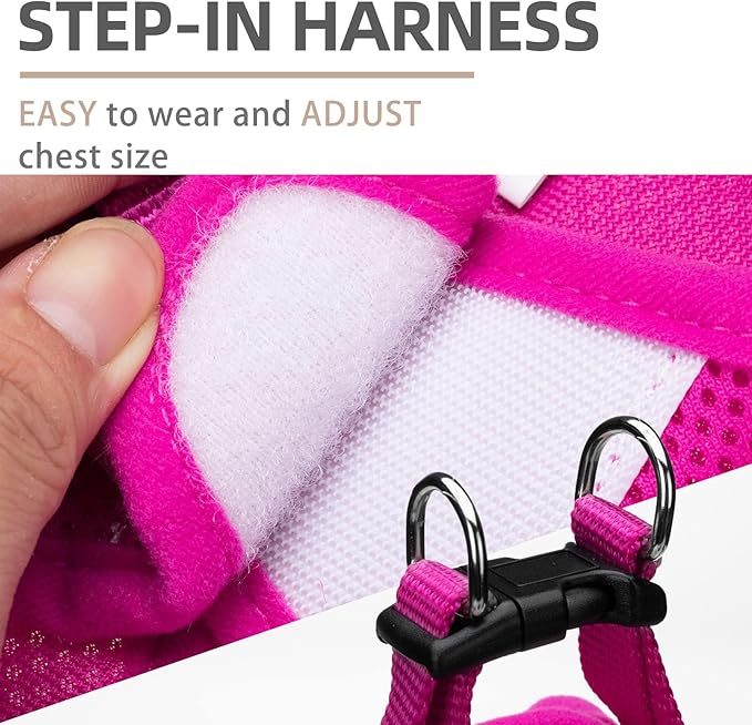 PUPTECK Adjustable Dog Harness Collar and Leash Set Step in No Pull Pet Harness - Image 3