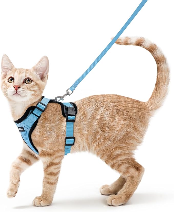 rabbitgoo Cat Harness and Leash by rabbitgoo