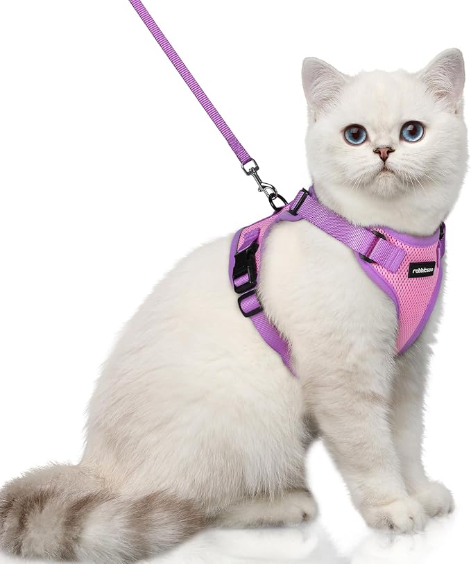 rabbitgoo Cat Harness and Leash Set, Escape Proof Soft Adjustable Vest Harnesses by rabbitgoo