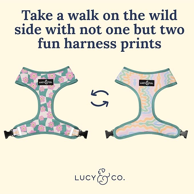 Lucy & Co. Cute Reversible Dog Harness Walking Halter - Image 6