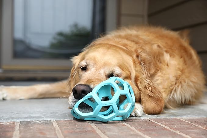 JW Pet HOL-ee Roller™, Dog Toy Puzzle Ball, Natural Rubber - Image 5