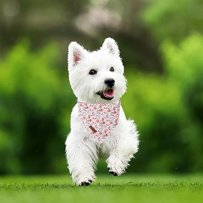 Summer Dog Bandana, UP URARA PUP Orange Bandana - Image 5