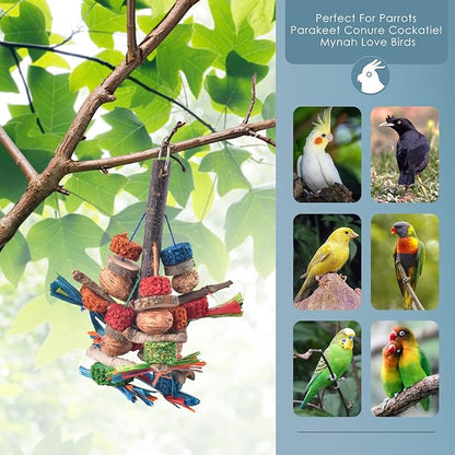Bissap Bird Chew Toys, Natural Bark Corncob Nuts Parrot Toys and Treats - Image 6