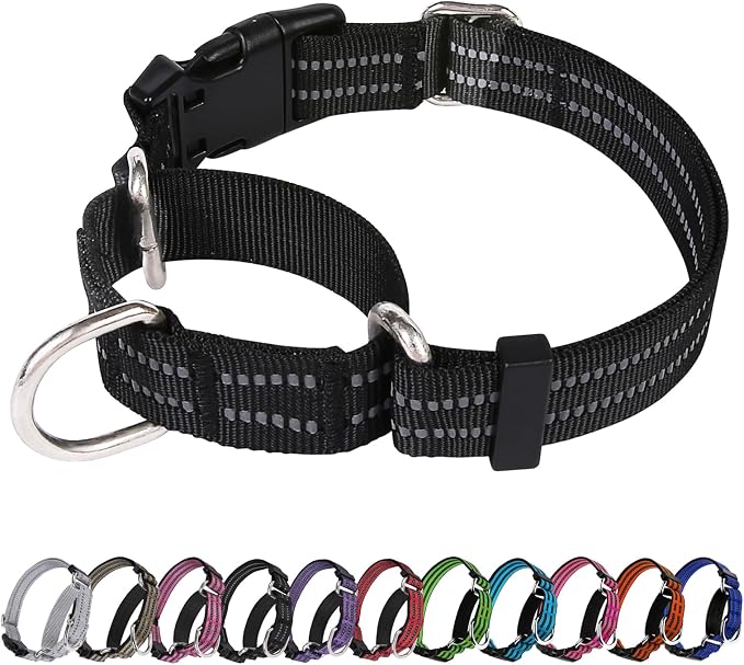 Martingale Dog Collar, Adjustable Nylon Reflective Collar by JOYEEIIOO
