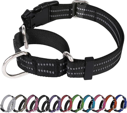 Martingale Dog Collar, Adjustable Nylon Reflective Collar by JOYEEIIOO