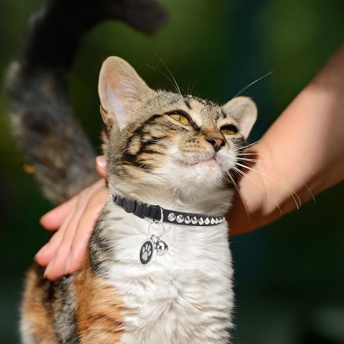 Leather Personalized Breakaway Cat Collar - Image 3