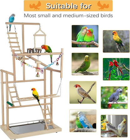 Pet Parrot Playstand Parrots Bird Playground Bird Play Stand Wood Perch Gym - Image 6