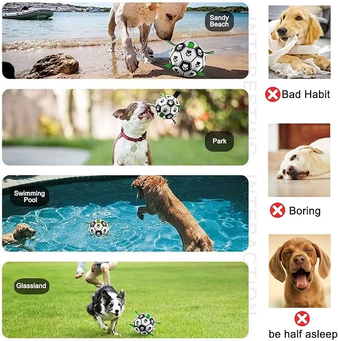 Amasiver Dog Soccer Ball Toys - Image 4
