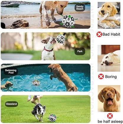 Amasiver Dog Soccer Ball Toys - Image 3