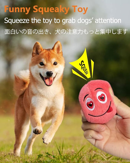 SCHITEC Squeaky Dog Toys, Soft Stuffed Plush Balls - Image 2