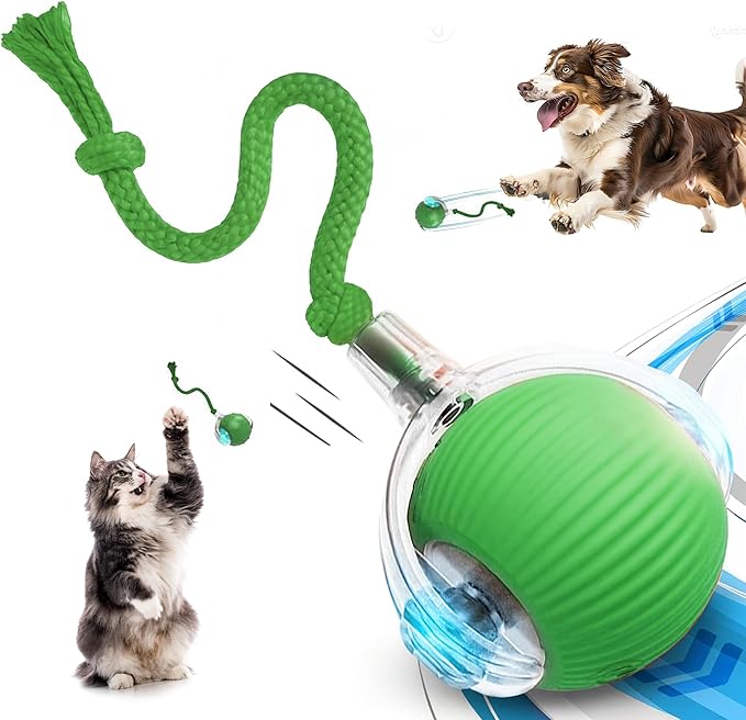 Speedy Tail 2.0 Cat Toy, 360°Automatic Rolling Ball, Smart Interactive Cat Toy by MARDYNUS