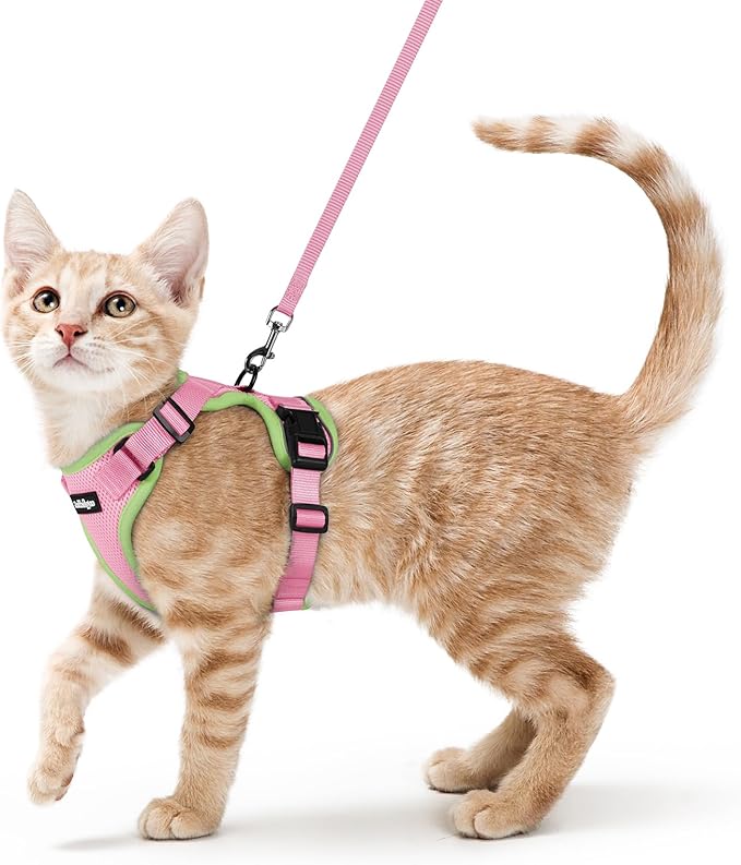 rabbitgoo Cat Harness and Leash by rabbitgoo
