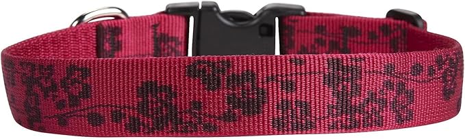 LupinePet Originals 1" Plum Blossom 16-28" Adjustable Collar by LupinePet