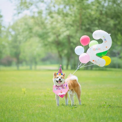 Pet Birthday Party Set with Hat and Bandana - Image 7