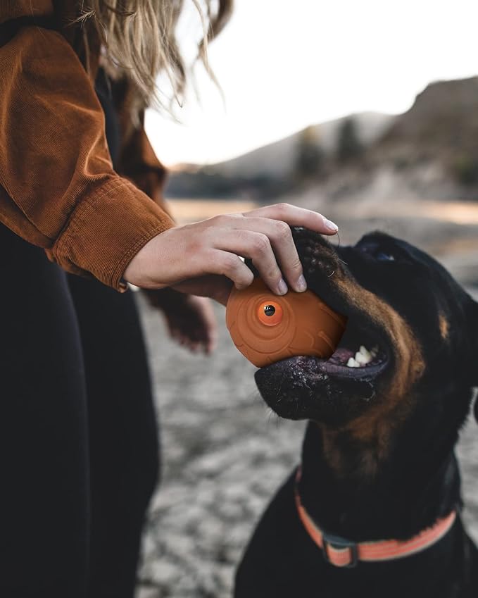 Mewlmart Giggle Ball for Dogs Owl Toys for Aggressive Chewers Dog Ball Toy for - Image 7