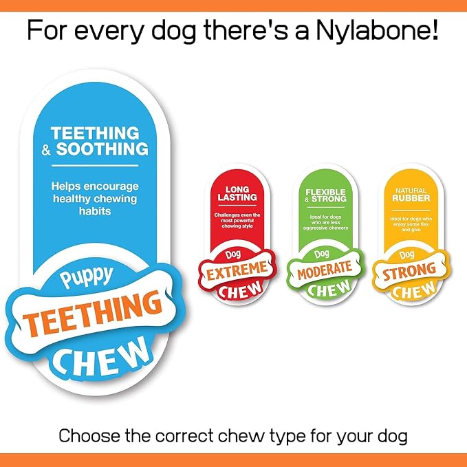 Nylabone Rubber Teether Puppy Chew Toy, Teething Toys - Image 4
