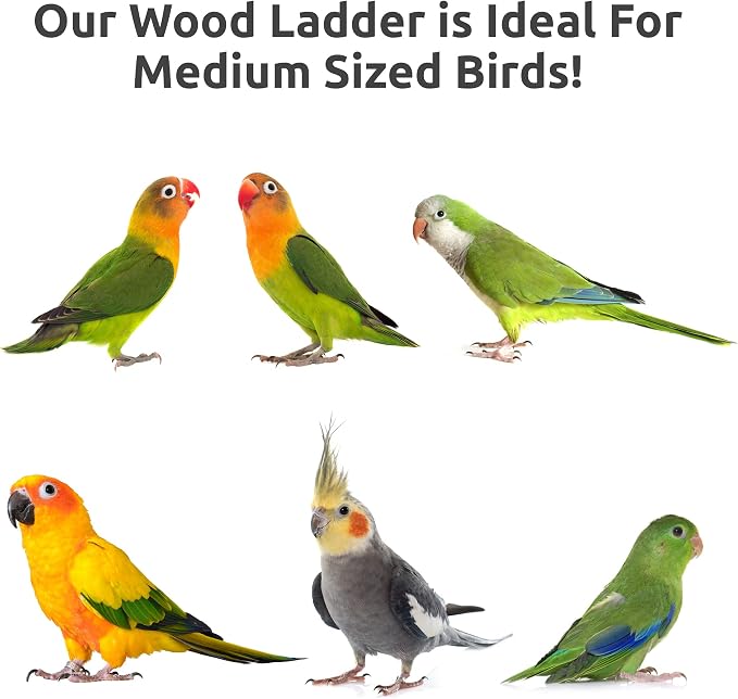 SIMENA Bird Cage Ladder, Parrot Bridge Made of Natural Wood and Rope, - Image 5