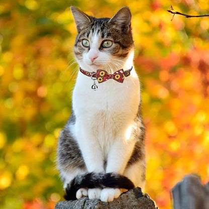 SCENEREAL Fall Thanksgiviing Cat Collar Breakaway Girl Boy, 3 Pack Turkey - Image 7