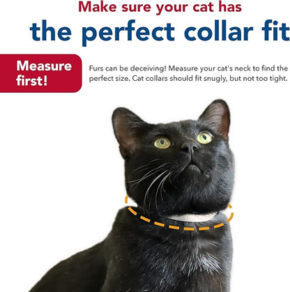 Coastal Pet New Earth Soy Adjustable Breakaway Cat Collar - Image 7