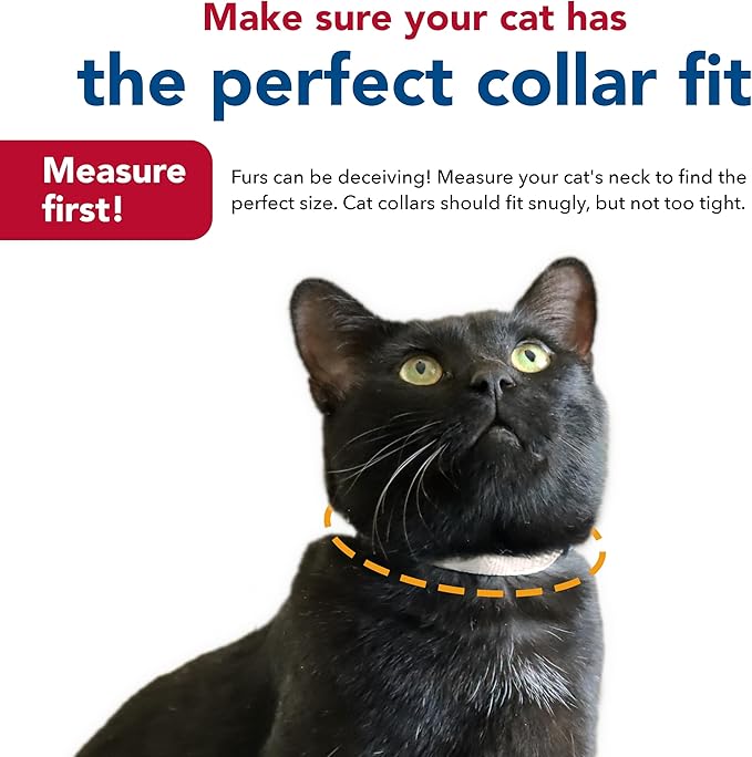 Coastal Pet New Earth Soy Adjustable Breakaway Cat Collar - Image 7