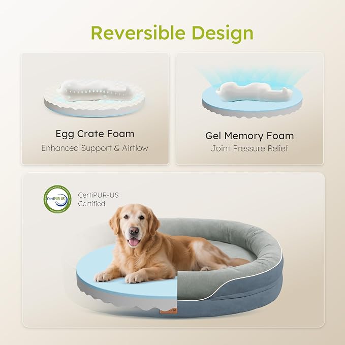 XL Orthopedic Dog Bed, Extra Large Dog Bed, Dog Sofa - Image 3
