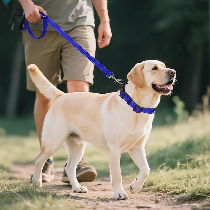 Joytale Reflective Dog Collar, Soft Neoprene Padded, Metal D-Ring, Nylon Pet - Image 6