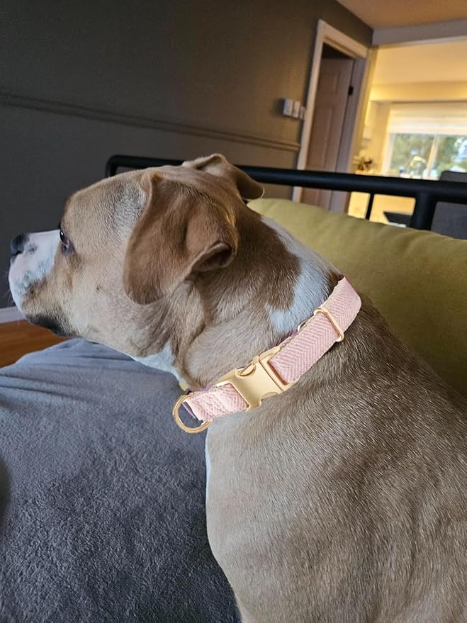 Soft Cotton Hemp Dog Collar - Image 6