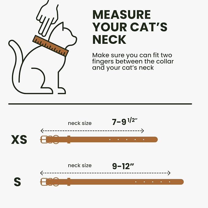 BRONZEDOG Leather Cat Collar - Image 7