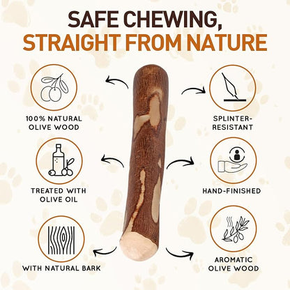 Wildfang® Olive Wood Chewing Sticks - Image 5