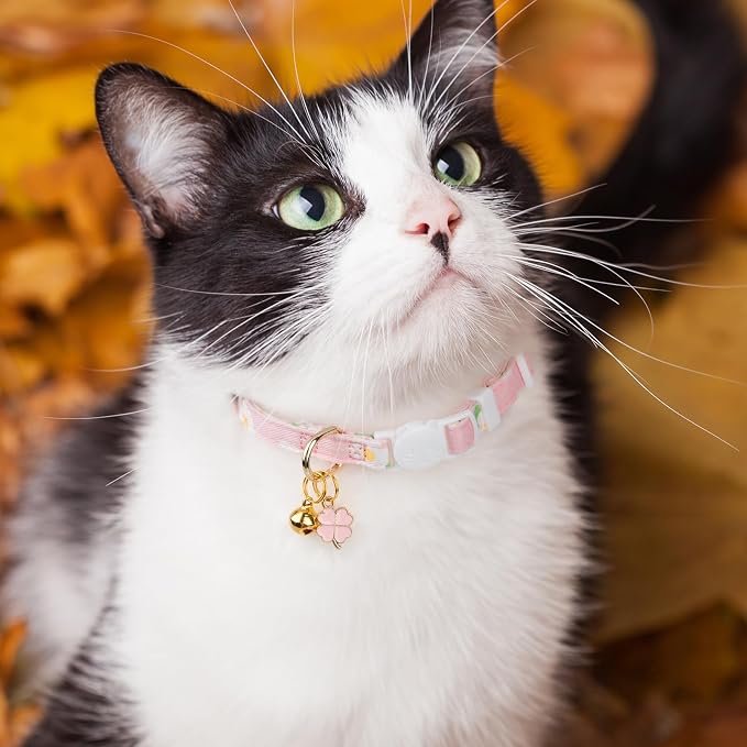 2 Pack Cotton Breakaway Cat Collar Purple and Pink Flowers Pendant Cute Kitten - Image 6