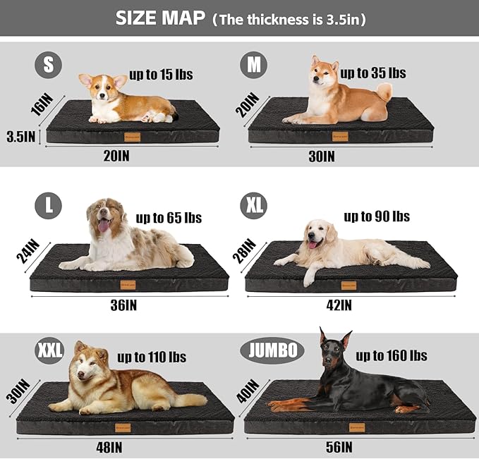 Patas Lague Orthopedic Jumbo Dog Bed - Image 5