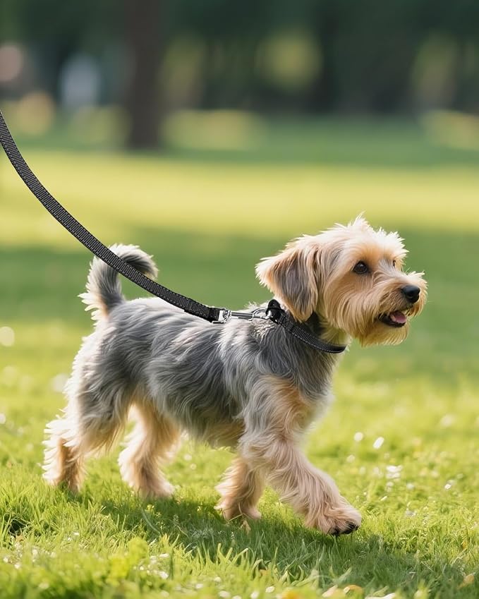 Joytale Small Dog Collar, Reflective and Adjustable Nylon Collar - Image 6
