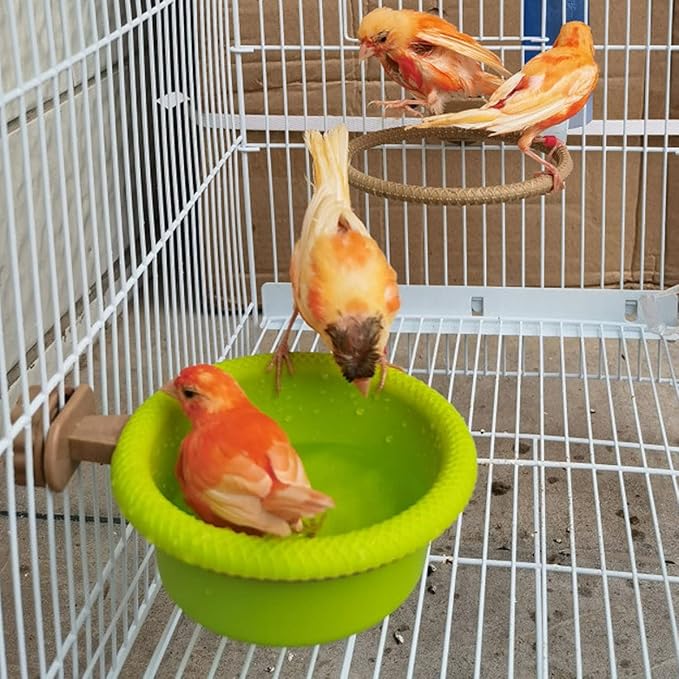 FOIBURELY Multi-Function Caged Bird Bath Bird Cage Parrot Supplies Bathing Tub - Image 4