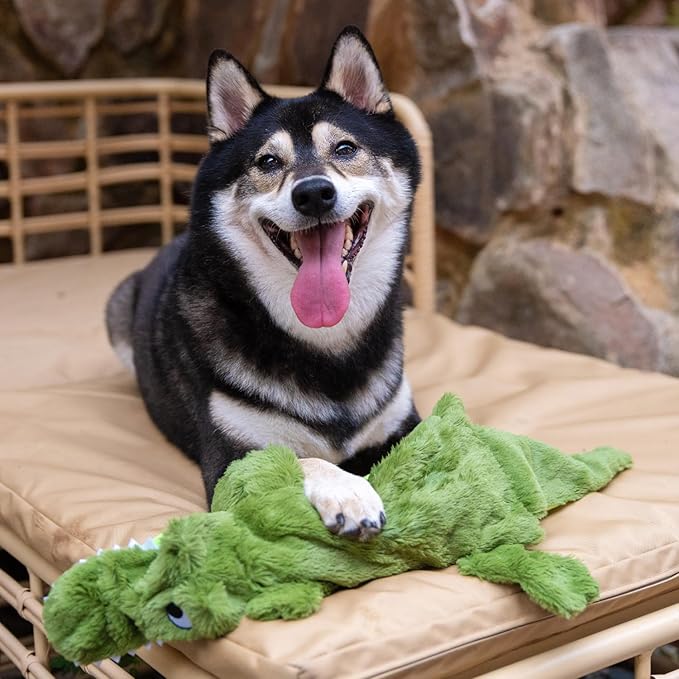 Best Pet Supplies Squeaky Dog Toys - Image 8