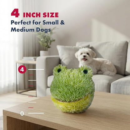 Pet Lou DOG'Z 4 Inch EZ Squeaky Frog Dog Plush Toy, Stuffing-Free Soft Plush Toy - Image 6