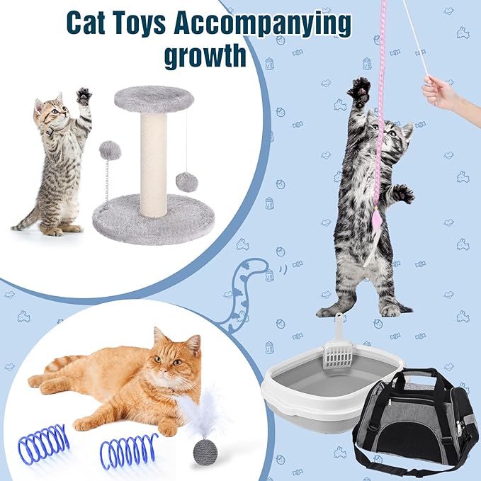 Eccliy Kitten Starter Kit, Pet Toy, Folding Carrier, Climbing Frame, Automatic - Image 7